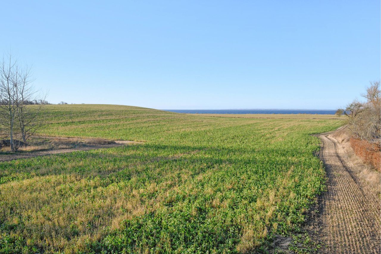 image 03