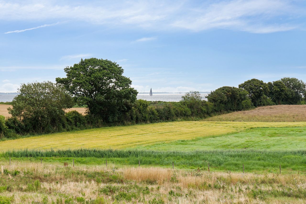 image 02